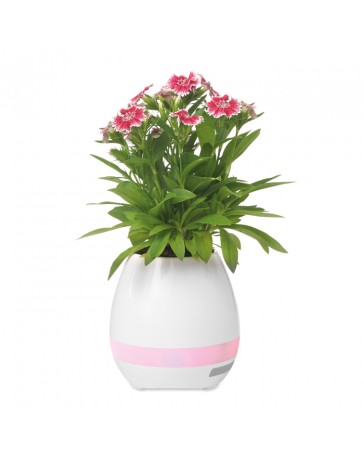 Emo9154 Vasi Speaker