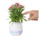 Emo9154 Vasi Speaker