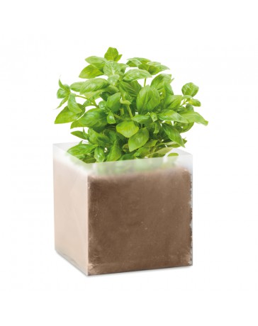 Emo9545 Semi basilico