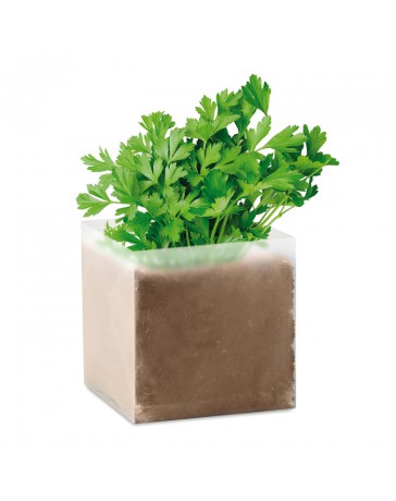 Emo9547 Semi prezzemolo