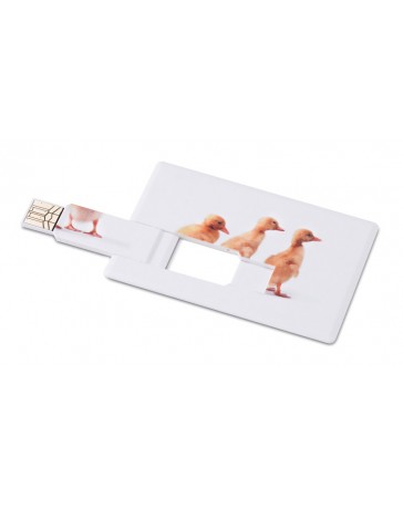 Emo1059 Card Usb Personalizzate